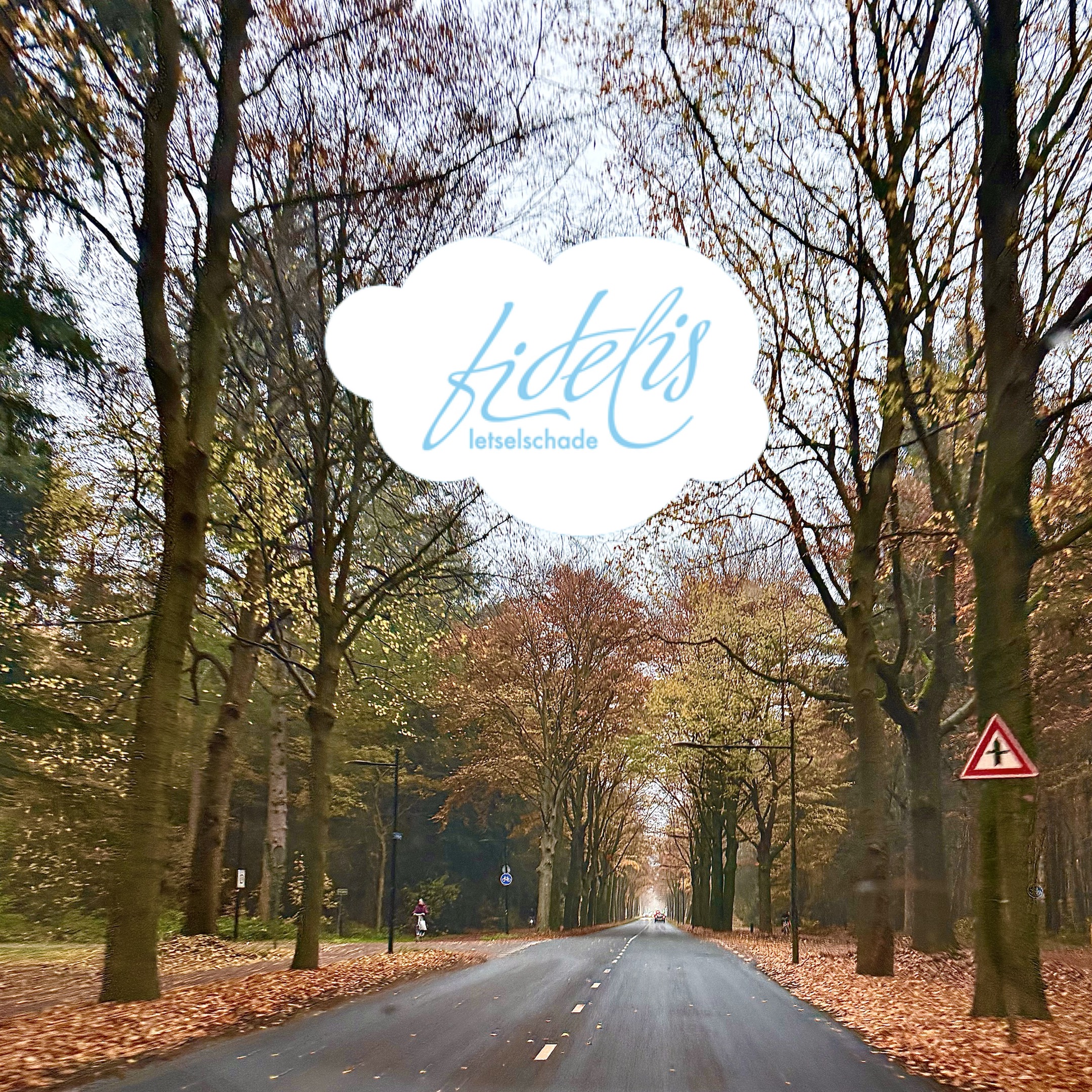 duplessis letselschade